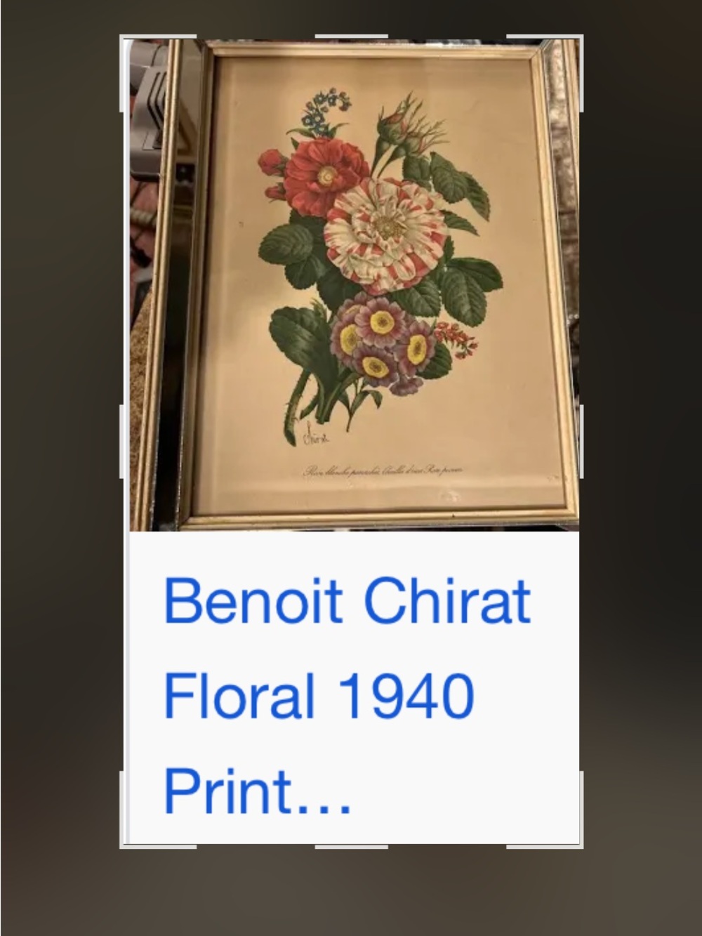 Vintage Floral Botanical Print in Brown Frame - Red, Pink, Green - Picture 2 of 11